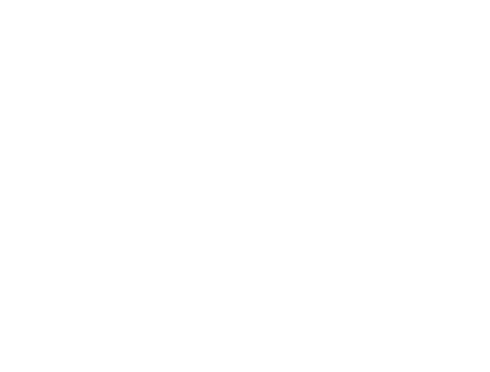 Fine Line Film Fest